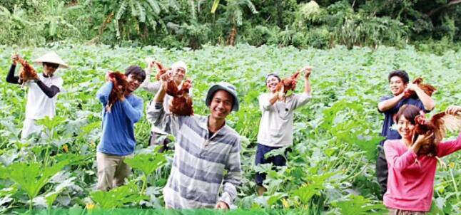 EM原液微生物可以让水质变得更加环保